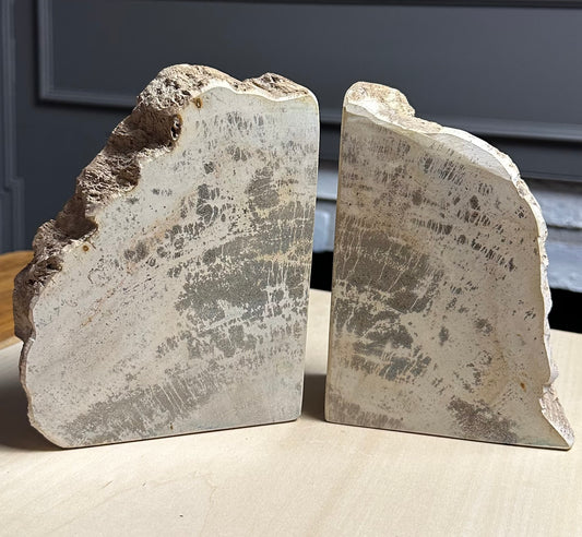 Petrified Wood