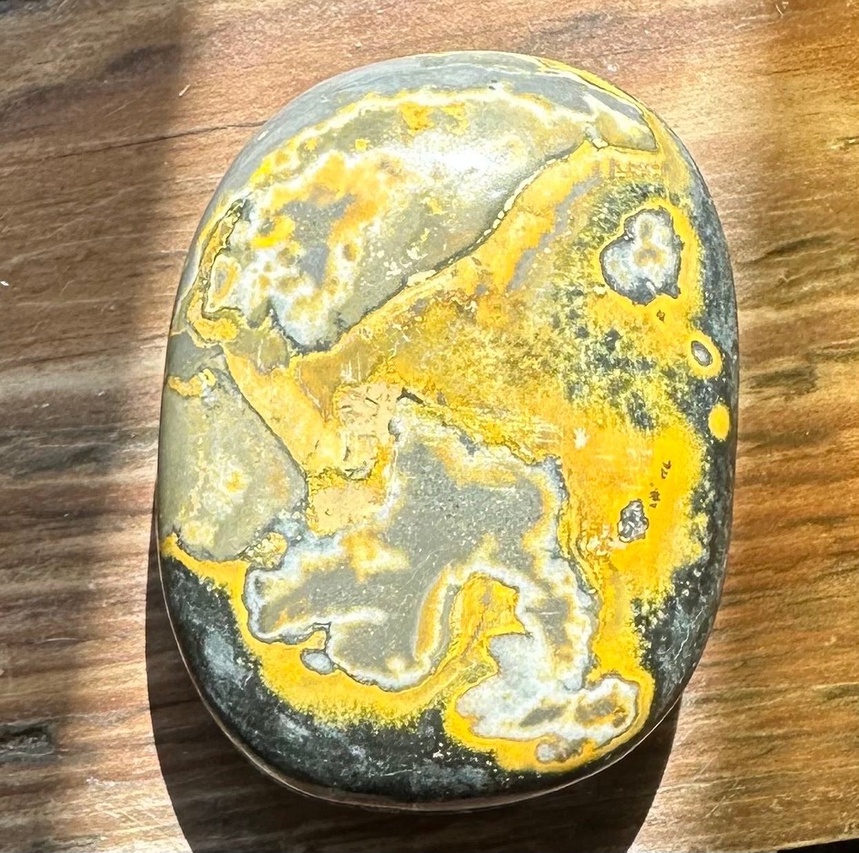 Bumble Bee Jasper