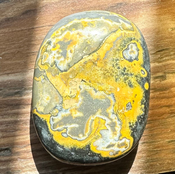 Bumble Bee Jasper