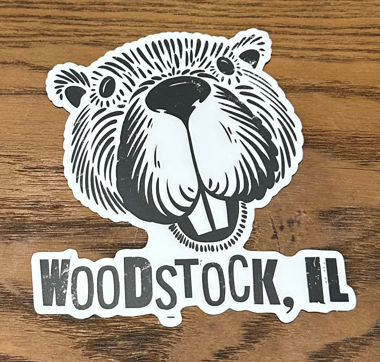 Marmota de Woodstock