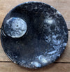 Fossils