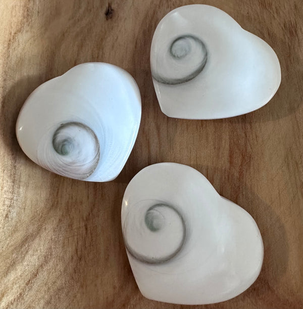 Fossils