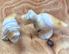 Calcite - Zebra