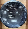 Fossils
