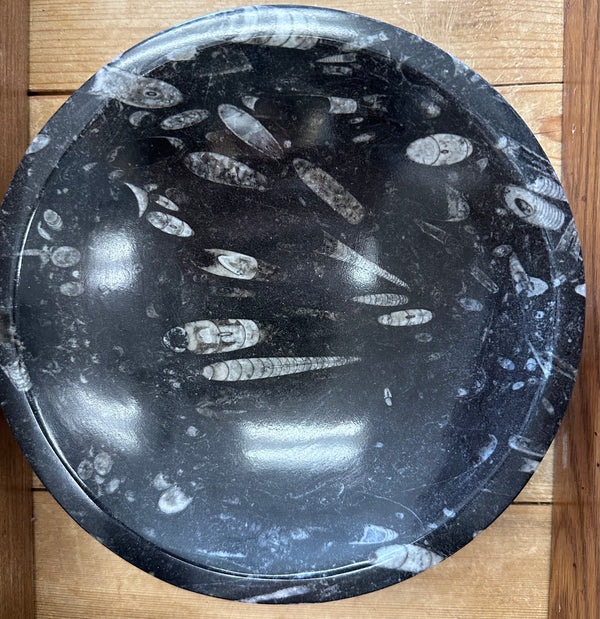 Fossils