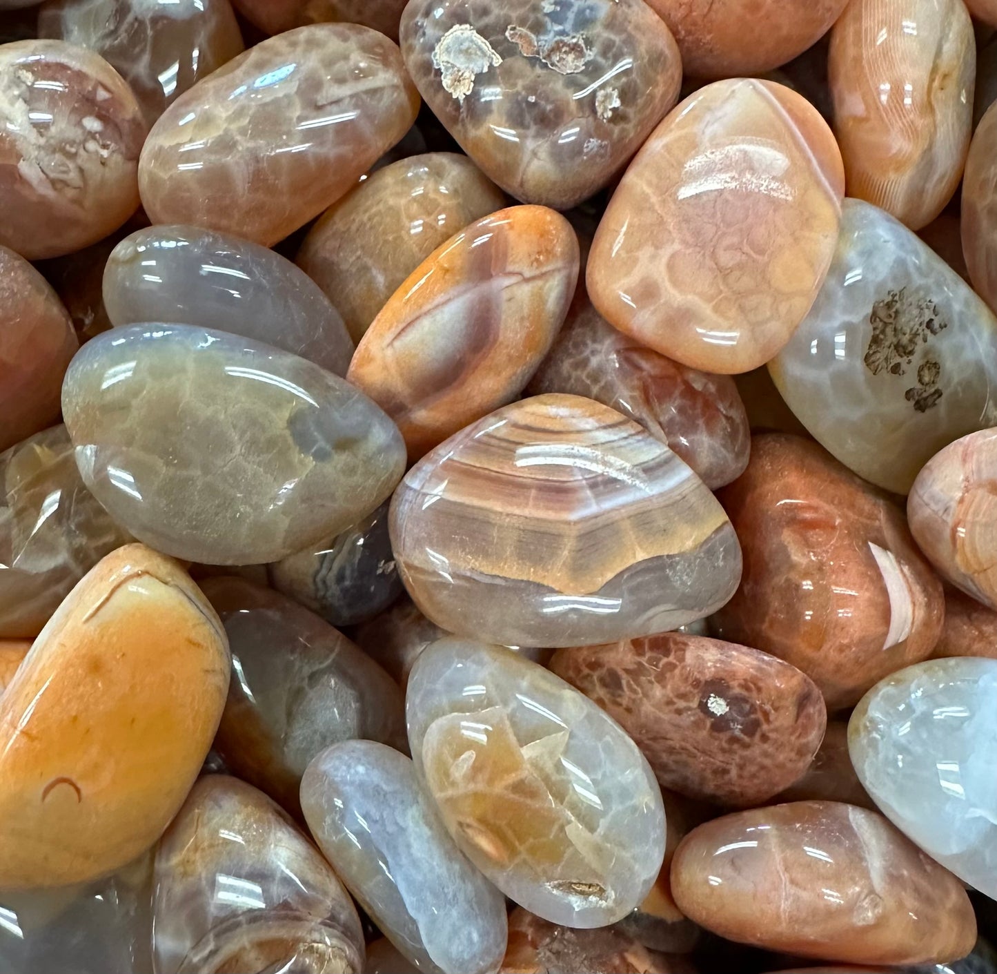 Polished & Rough Crystals