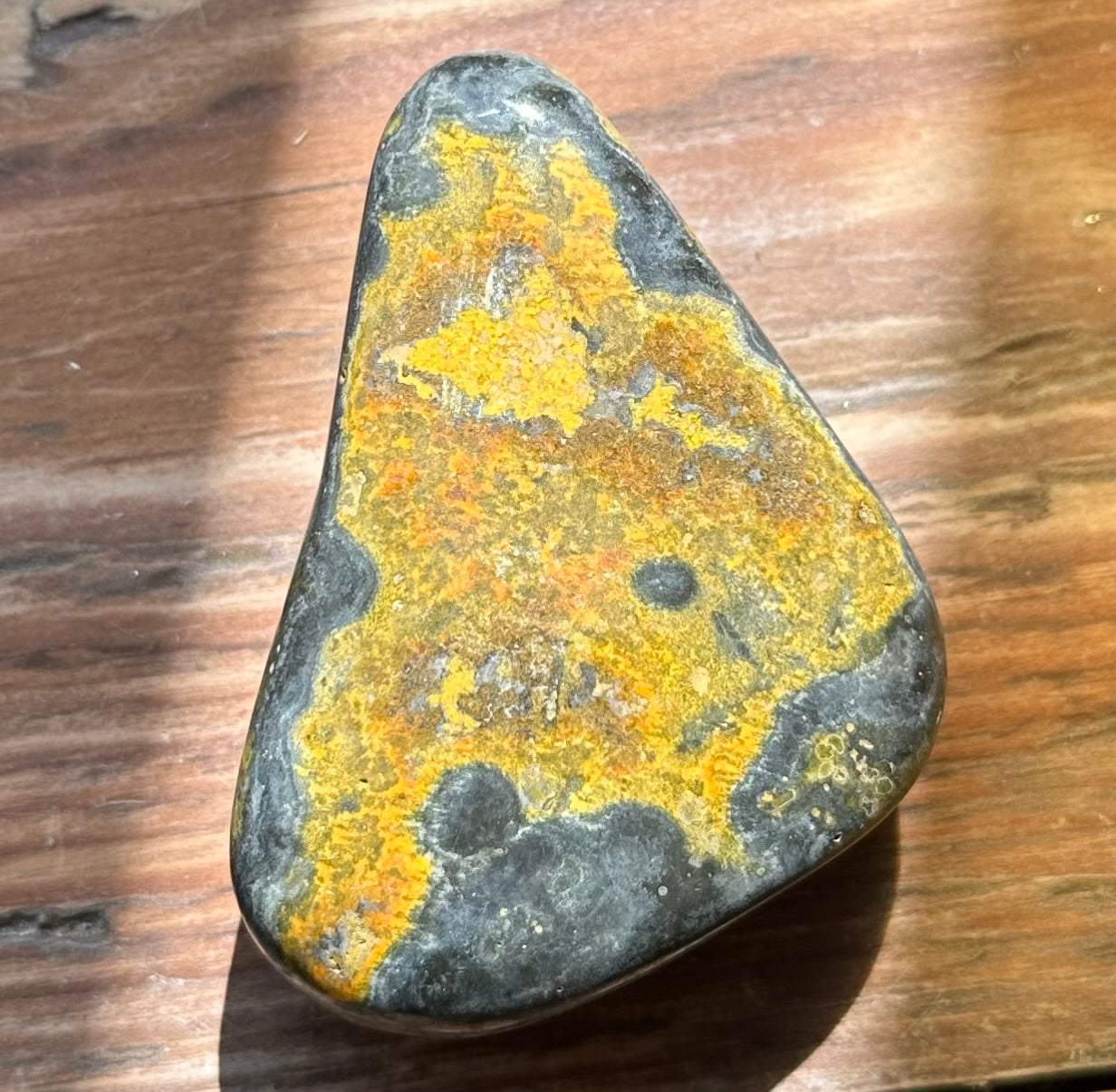 Bumble Bee Jasper