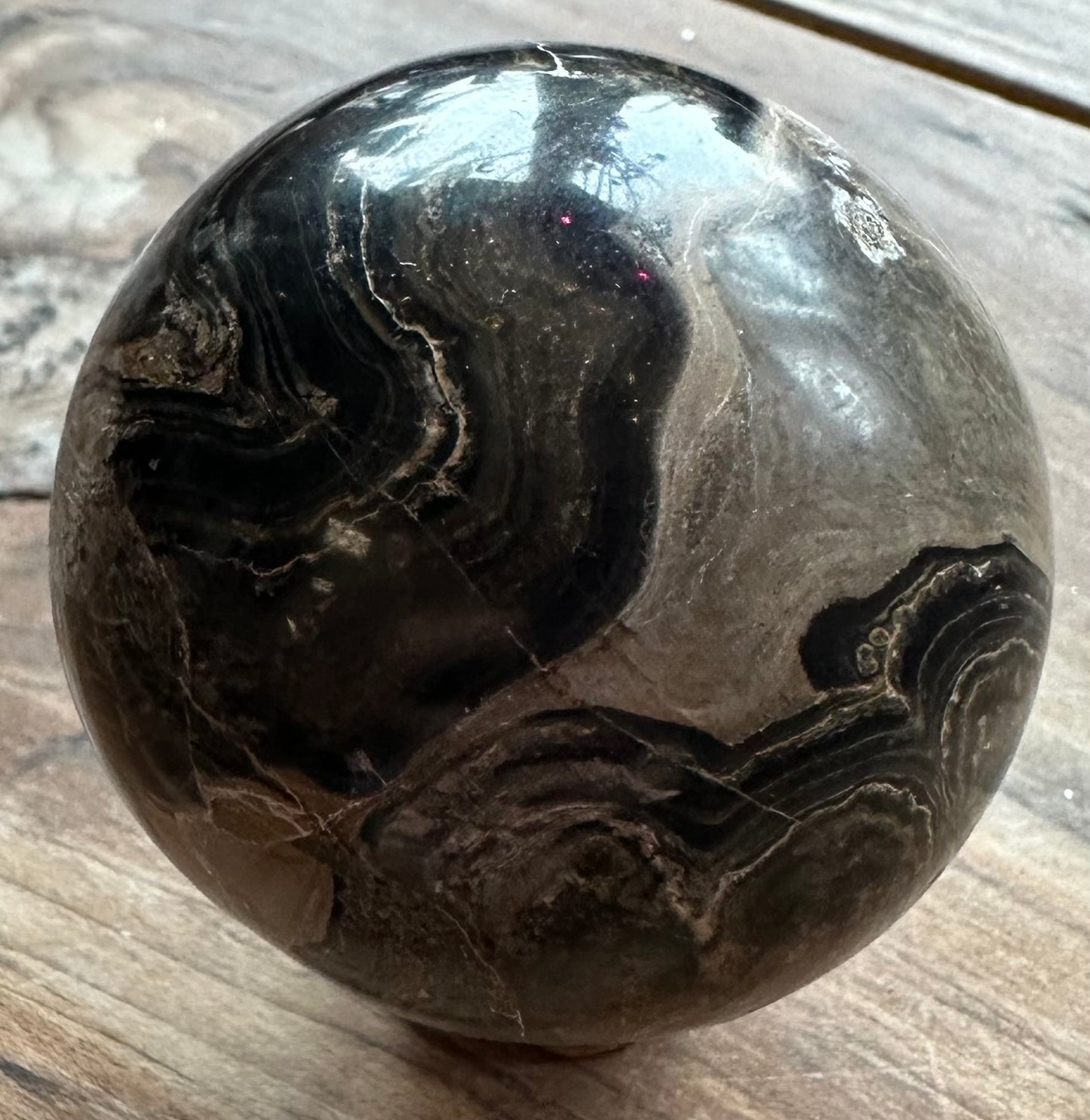 Stromatolite