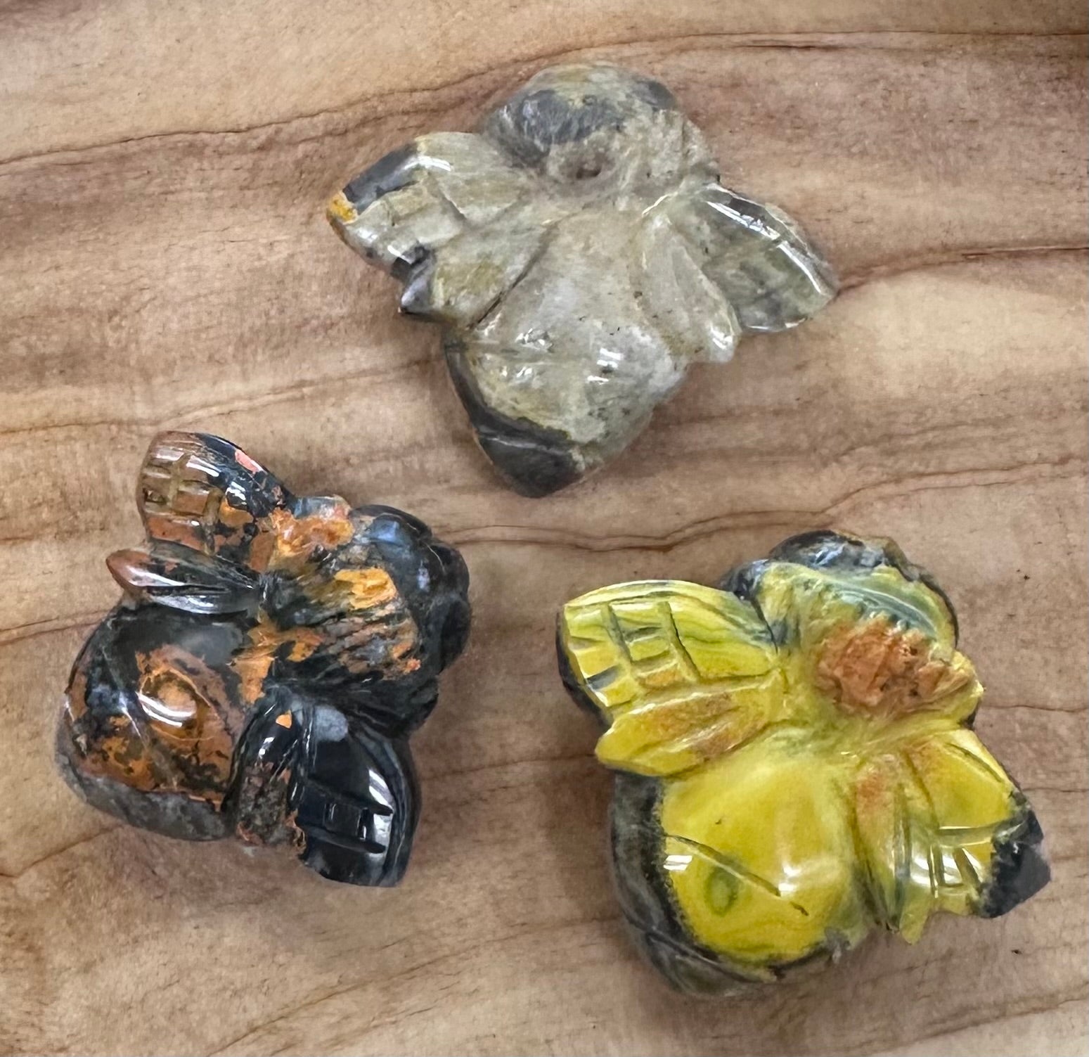 Bumblebee Jasper