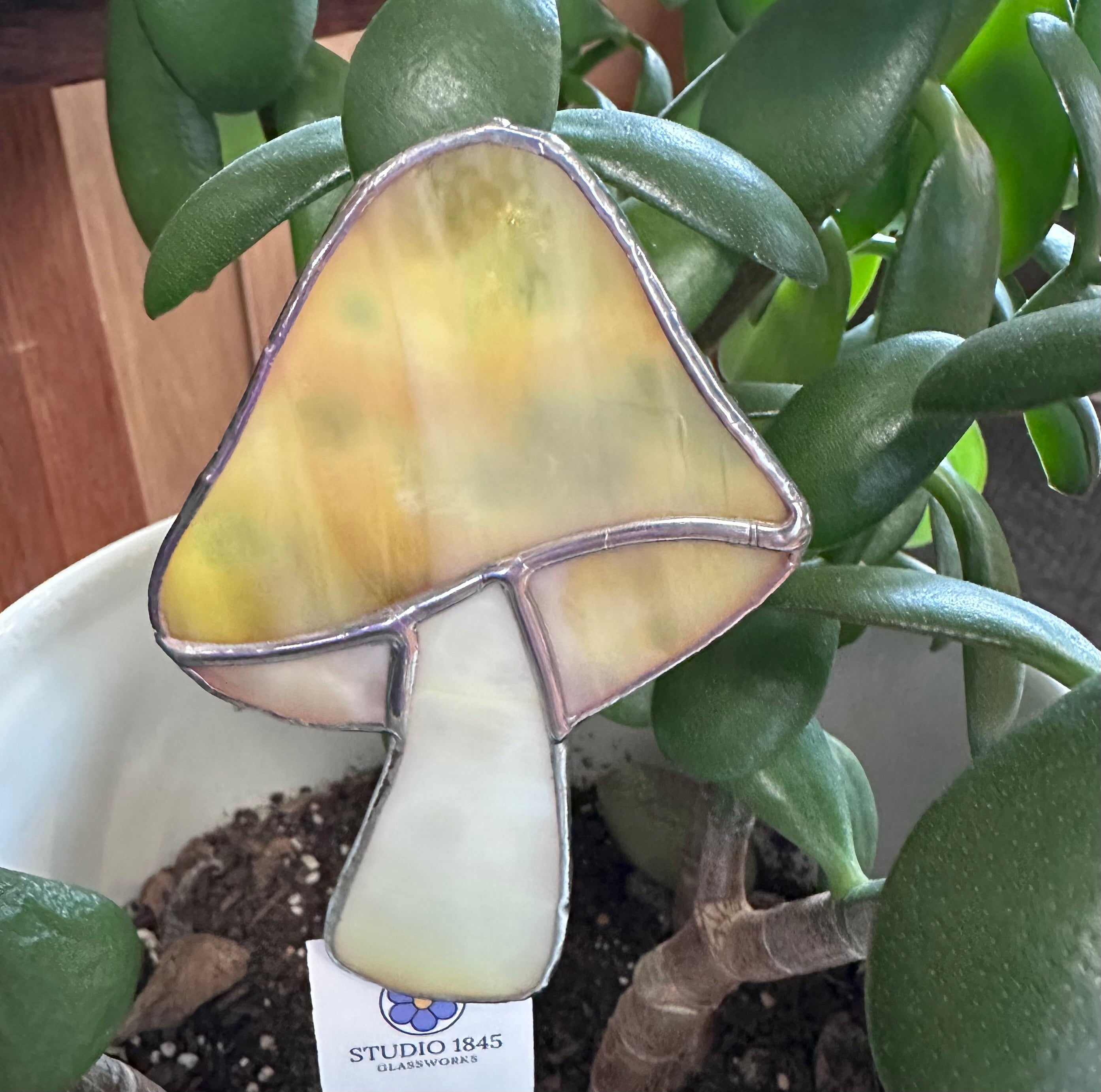 Studio 1845 Glassworks