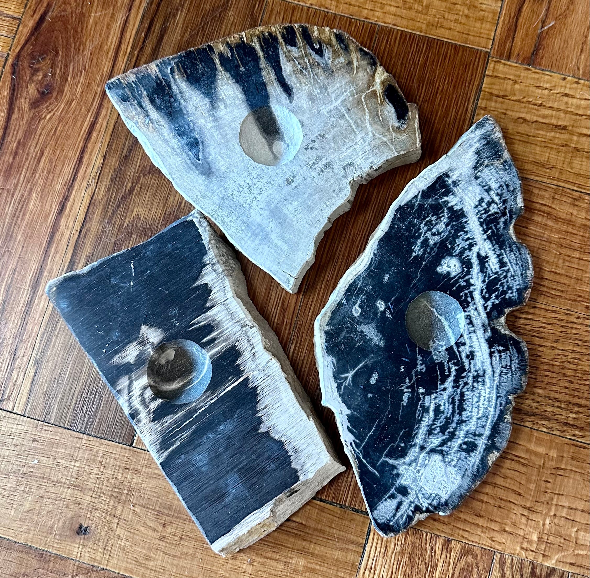 Petrified Wood