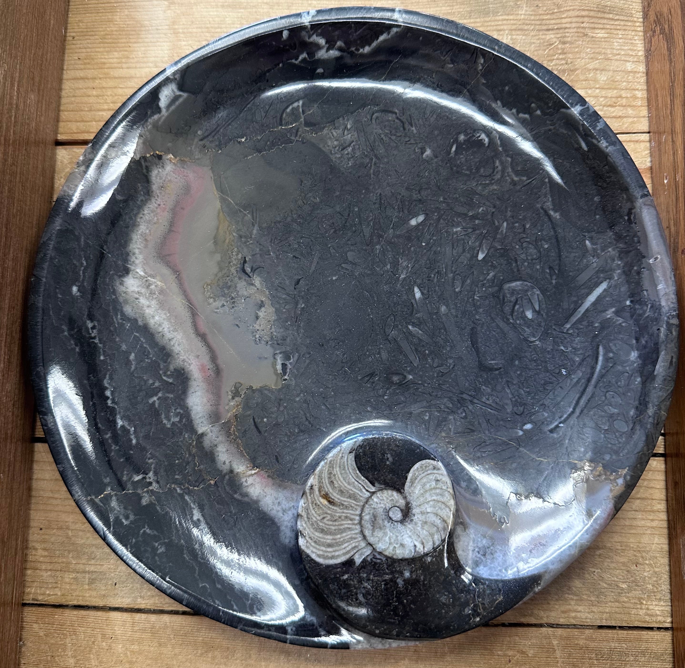 Fossils