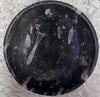 Fossils