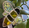 Studio 1845 Glassworks