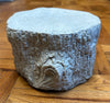 Concrete Statues & Planters