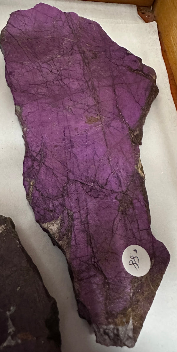 Purpurite