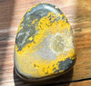 Bumble Bee Jasper