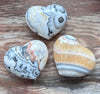 Calcite - Zebra