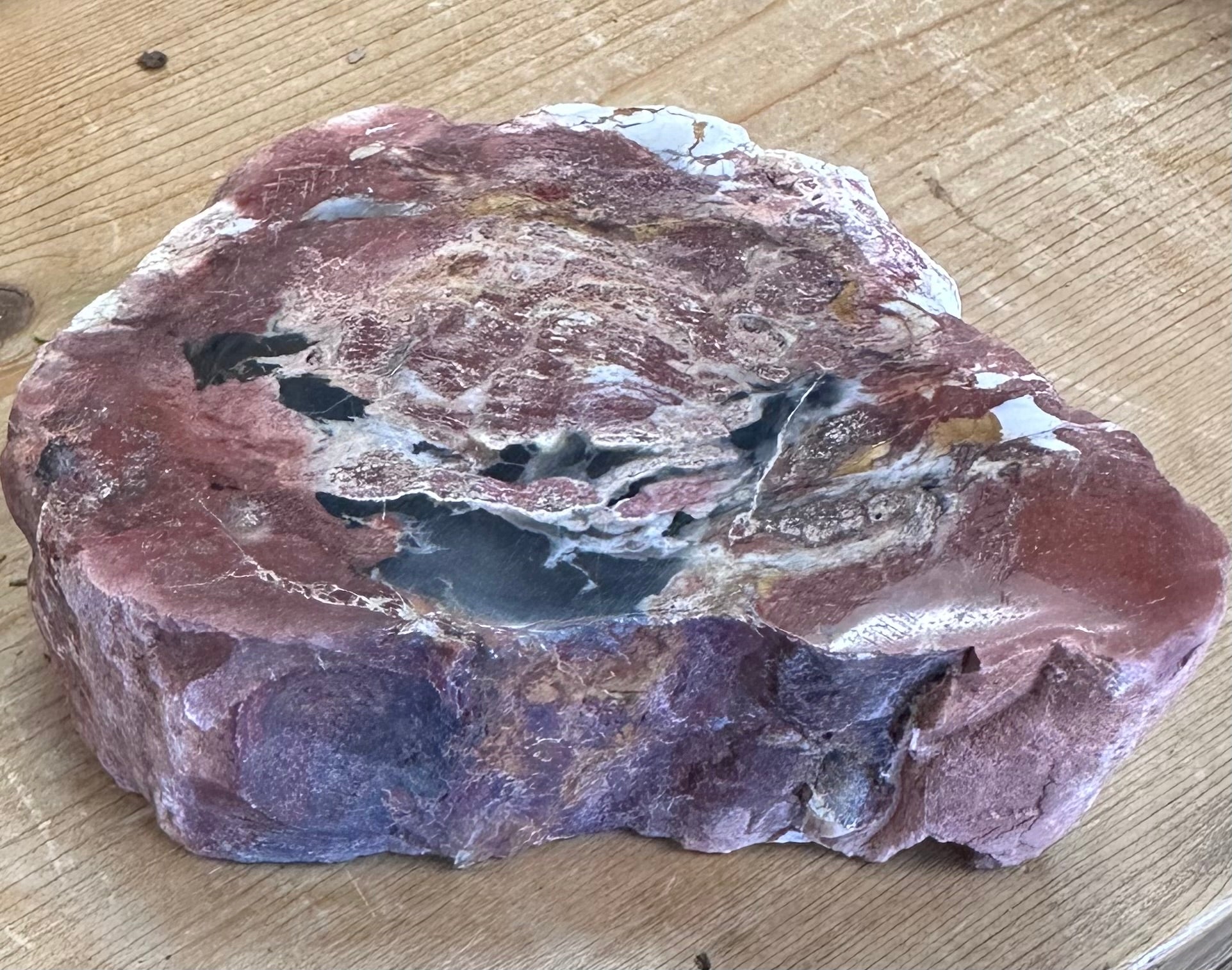 Petrified Wood