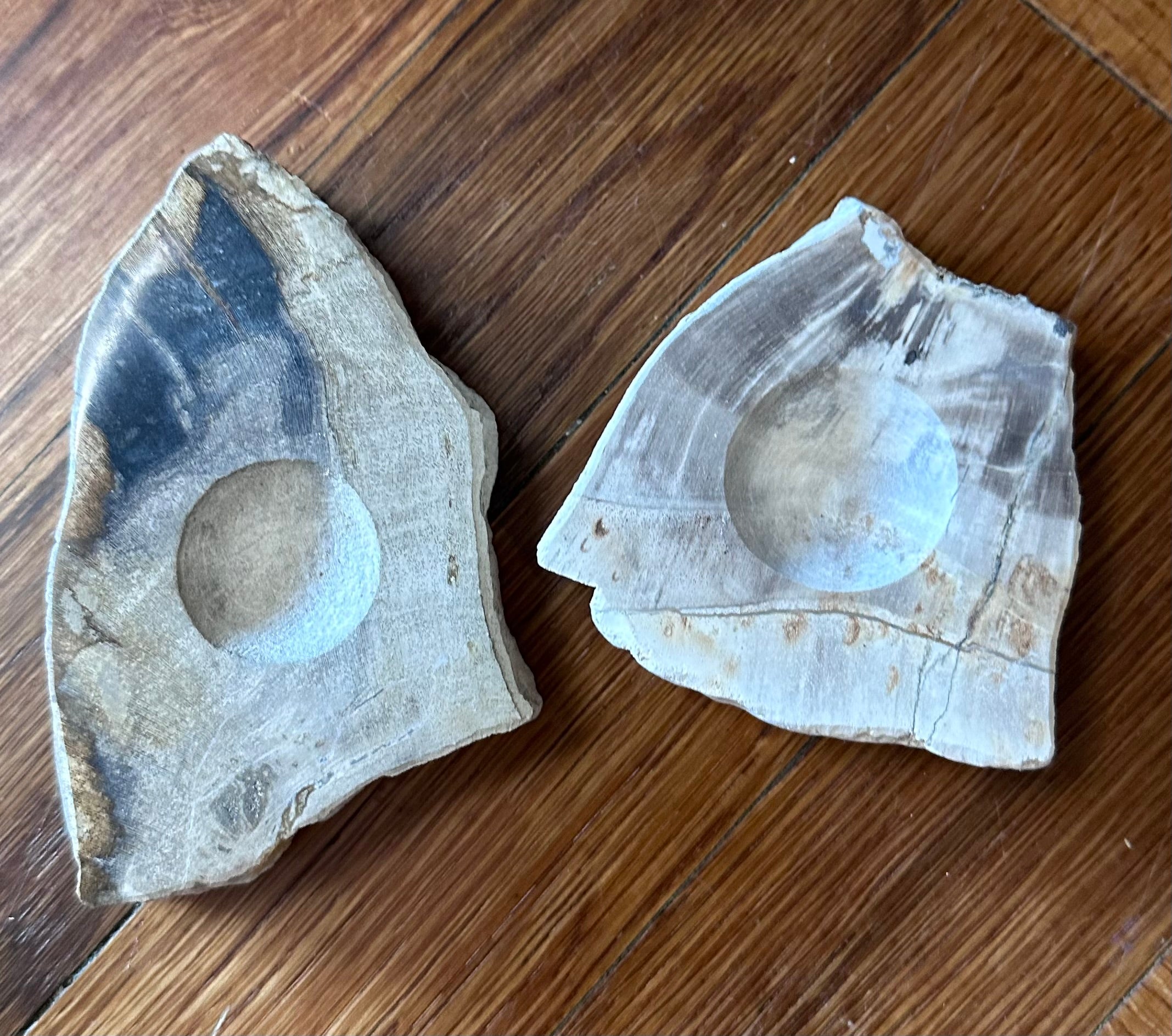 Petrified Wood