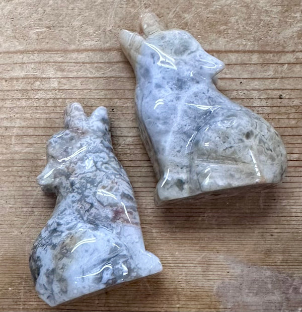 Crazy Lace Agate