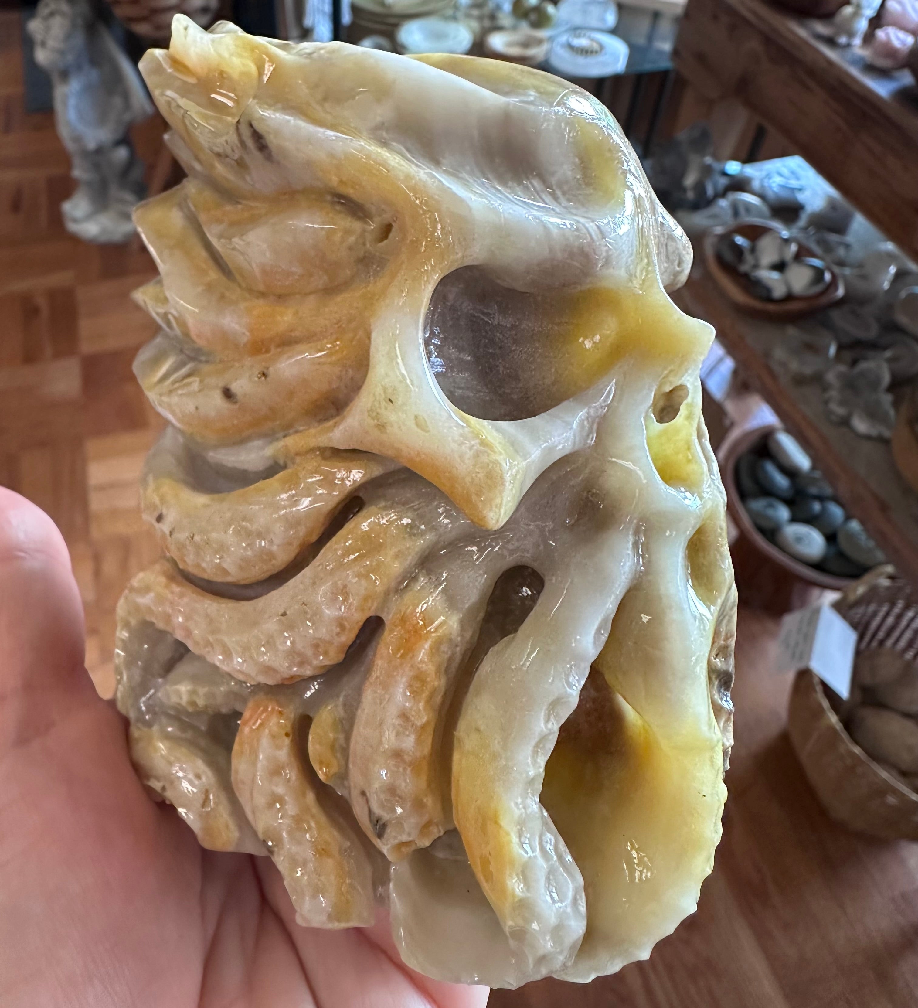 Bumblebee Jasper