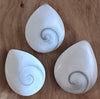 Fossils