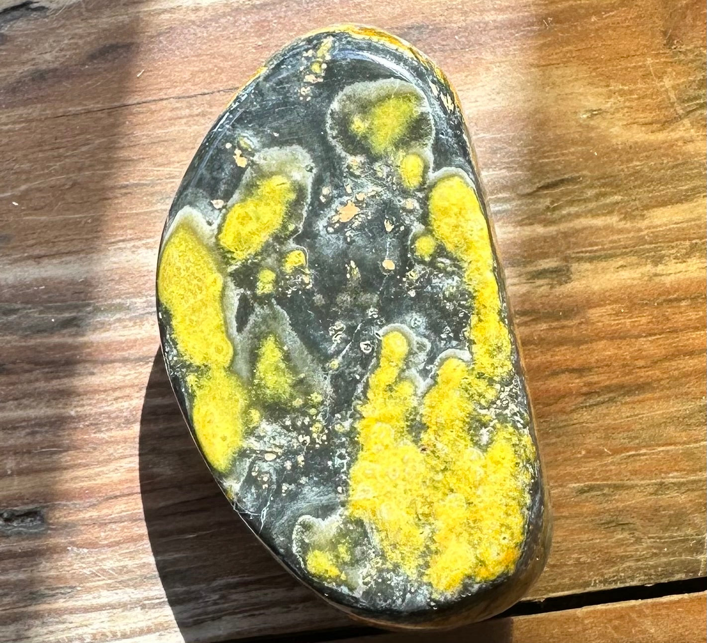 Bumble Bee Jasper
