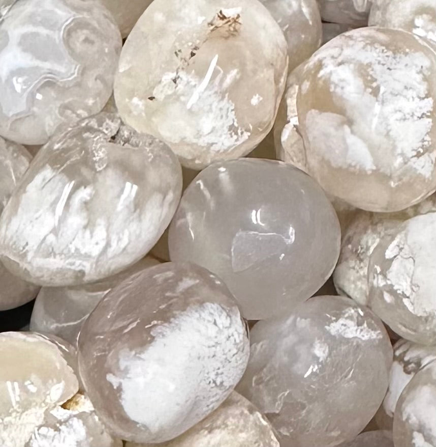 Snow White Lace Agate