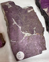 Purpurite