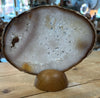 Agate Specimens