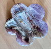 Crazy Lace Agate